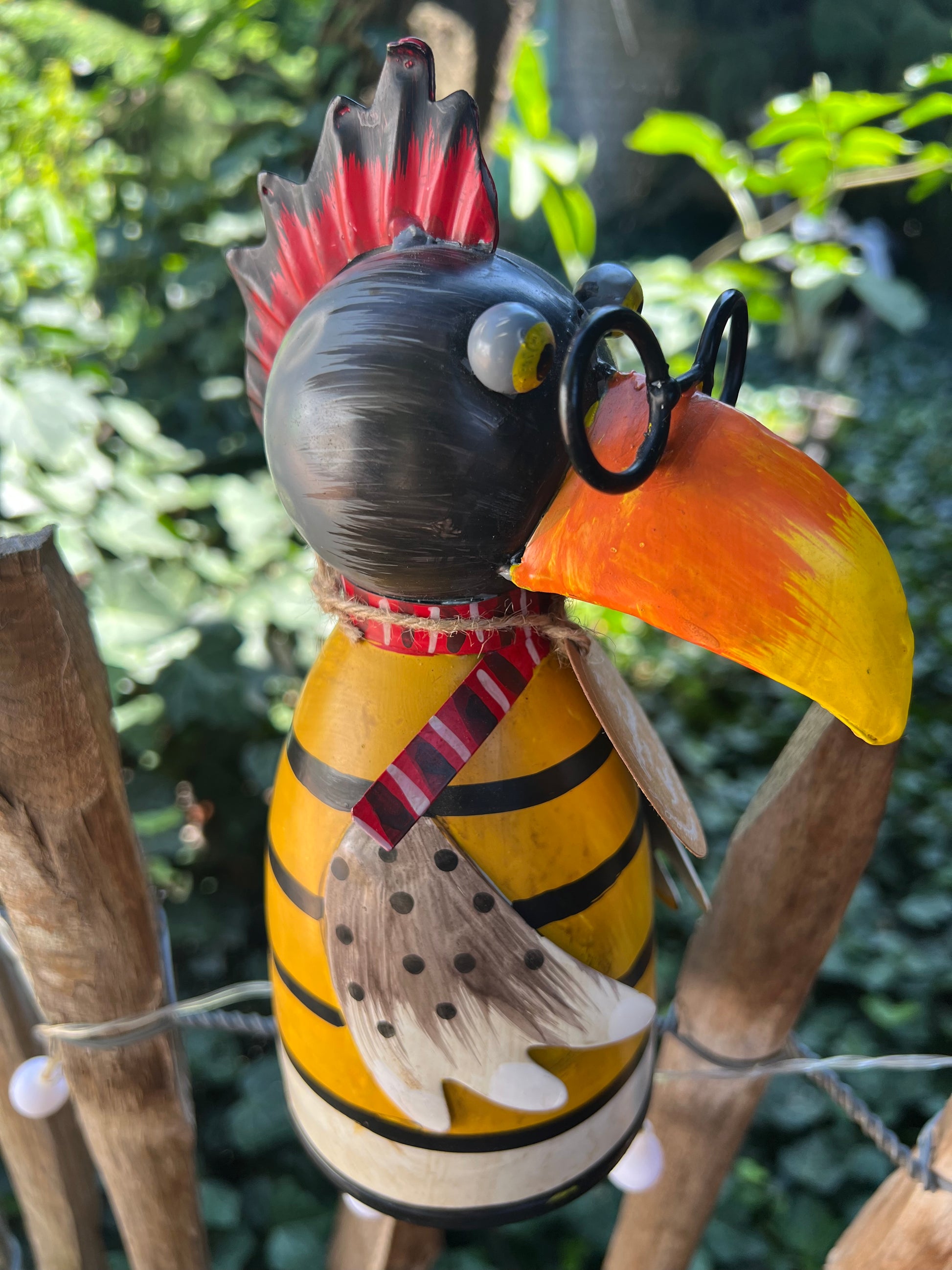 Zaunhocker Rabe in Orange - Gestreift