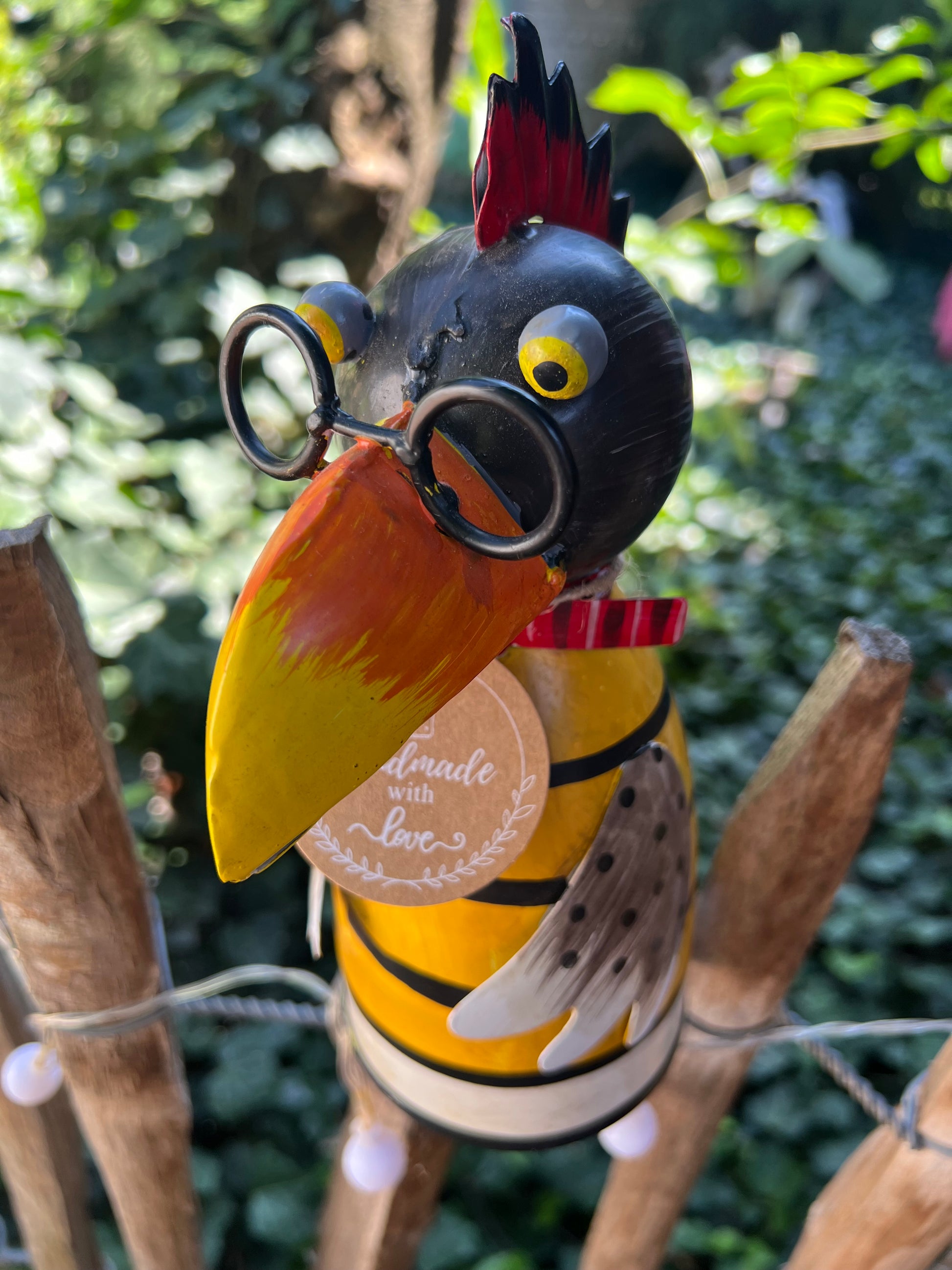 Zaunhocker Rabe in Orange - Gestreift