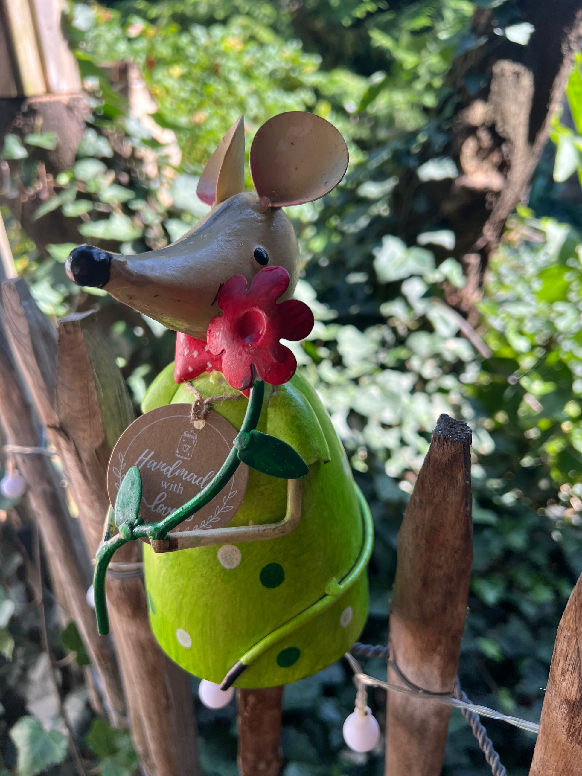 Zaunhocker Maus in Grün