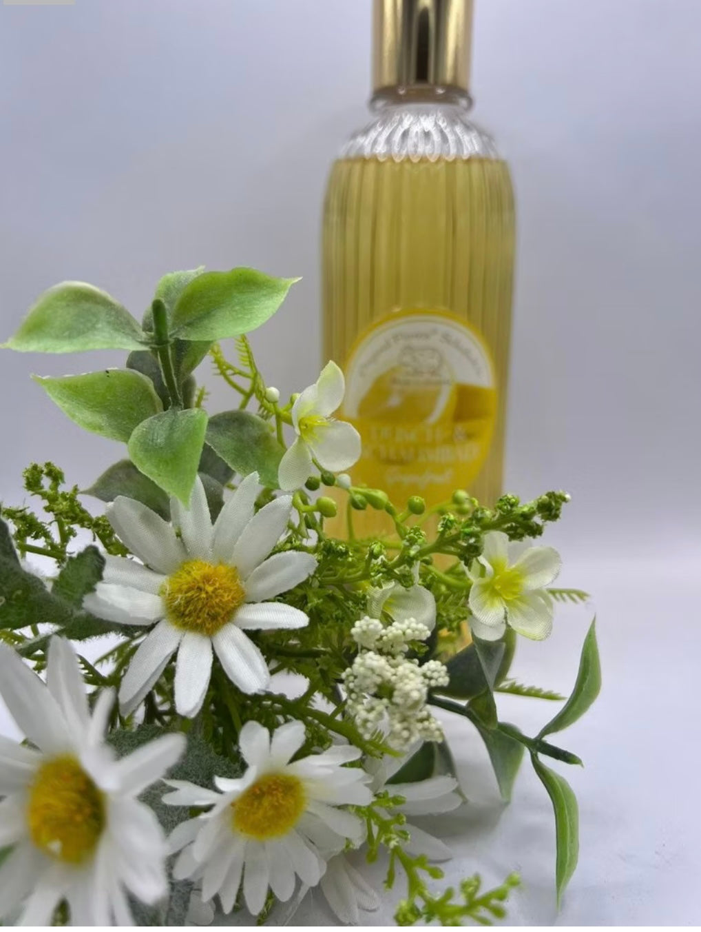 Dusch und Schaumbad Grapefruit