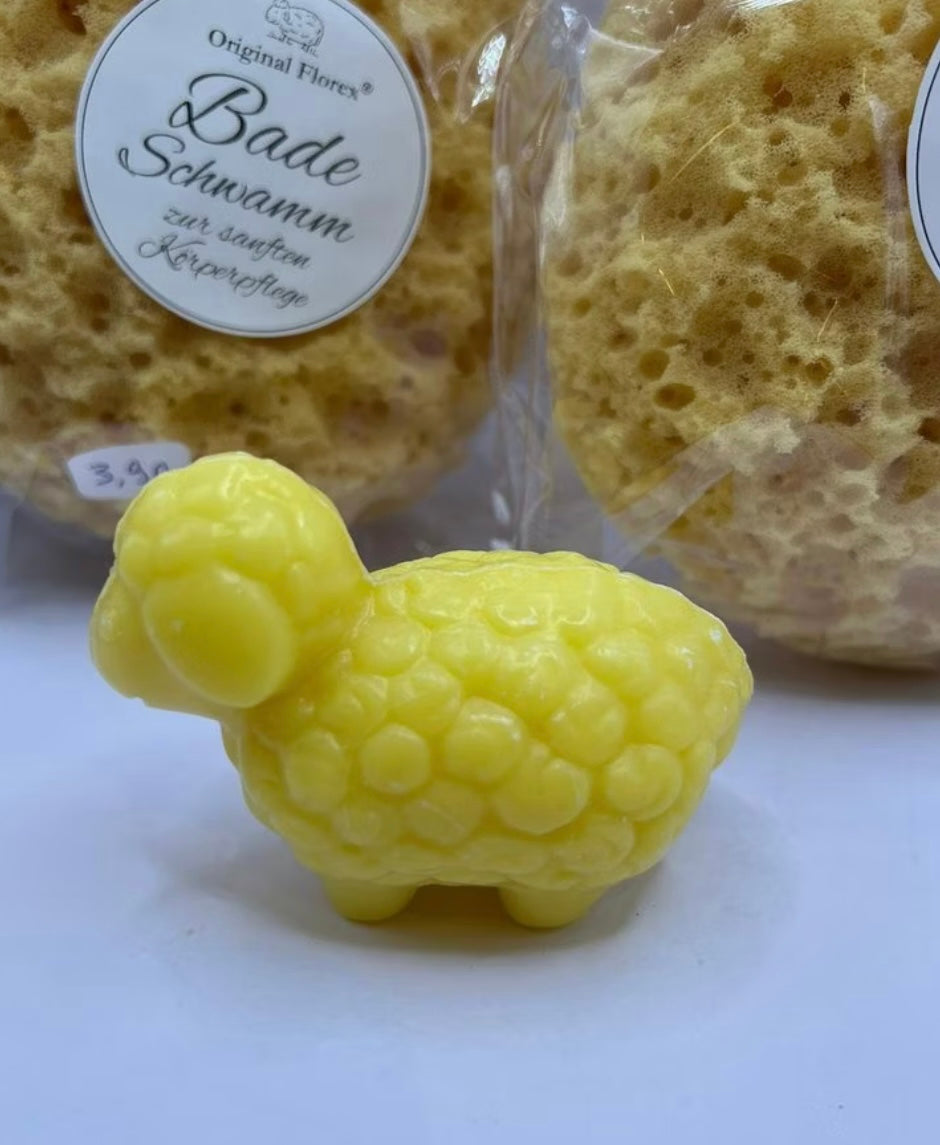 Schäfchenseife Grapefruit